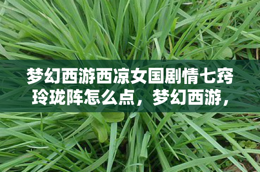 梦幻西游西凉女国剧情七窍玲珑阵怎么点,梦幻西游,西凉女国的神秘剧情 梦幻西游西凉女国剧情七窍玲珑阵怎么点,梦幻西游,西凉女国的神秘剧情