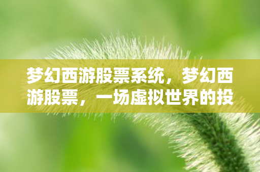 梦幻西游股票系统，梦幻西游股票，一场虚拟世界的投资盛宴