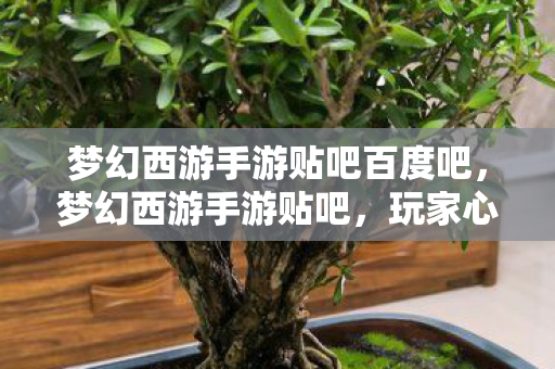 梦幻西游手游贴吧百度吧,梦幻西游手游贴吧,玩家心得分享与游戏攻略探讨 梦幻西游手游贴吧百度吧,梦幻西游手游贴吧,玩家心得分享与游戏攻略探讨