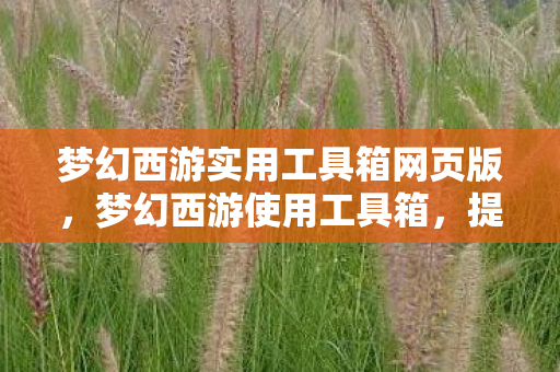 梦幻西游实用工具箱网页版，梦幻西游使用工具箱，提升游戏体验的必备神器