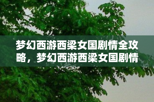 梦幻西游西梁女国剧情全攻略,梦幻西游西梁女国剧情深度解析 梦幻西游西梁女国剧情全攻略,梦幻西游西梁女国剧情深度解析
