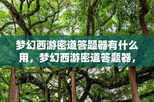 梦幻西游密道答题器有什么用,梦幻西游密道答题器,游戏小助手助你轻松通关密道 梦幻西游密道答题器有什么用,梦幻西游密道答题器,游戏小助手助你轻松通关密道