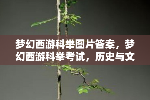 梦幻西游科举图片答案,梦幻西游科举考试,历史与文化的再现 梦幻西游科举图片答案,梦幻西游科举考试,历史与文化的再现