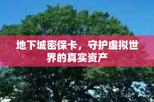 地下城密保卡,守护虚拟世界的真实资产 地下城密保卡,守护虚拟世界的真实资产