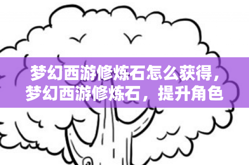 梦幻西游修炼石怎么获得,梦幻西游修炼石,提升角色实力的神秘宝石 梦幻西游修炼石怎么获得,梦幻西游修炼石,提升角色实力的神秘宝石