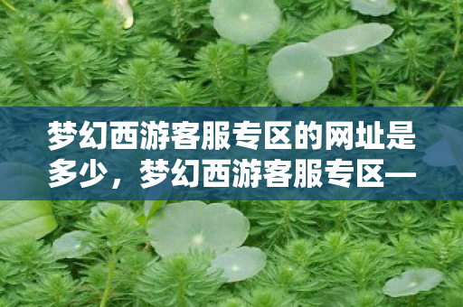 梦幻西游客服专区的网址是多少,梦幻西游客服专区—解决你游戏中遇到的所有疑难杂症 梦幻西游客服专区的网址是多少,梦幻西游客服专区—解决你游戏中遇到的所有疑难杂症