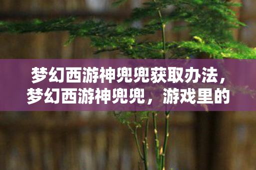梦幻西游神兜兜获取办法，梦幻西游神兜兜，游戏里的神秘宝藏与独特魅力
