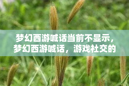 梦幻西游喊话当前不显示,梦幻西游喊话,游戏社交的魅力与策略 梦幻西游喊话当前不显示,梦幻西游喊话,游戏社交的魅力与策略