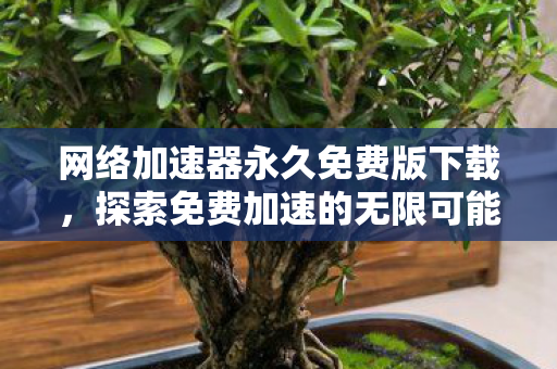网络加速器永久免费版下载,探索免费加速的无限可能 网络加速器永久免费版下载,探索免费加速的无限可能