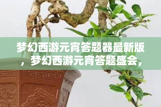 梦幻西游元宵答题器最新版,梦幻西游元宵答题盛会,一场知识与智慧的较量 梦幻西游元宵答题器最新版,梦幻西游元宵答题盛会,一场知识与智慧的较量
