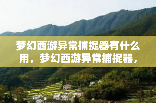 梦幻西游异常捕捉器有什么用，梦幻西游异常捕捉器，守护你的游戏世界，轻松解决疑难杂症