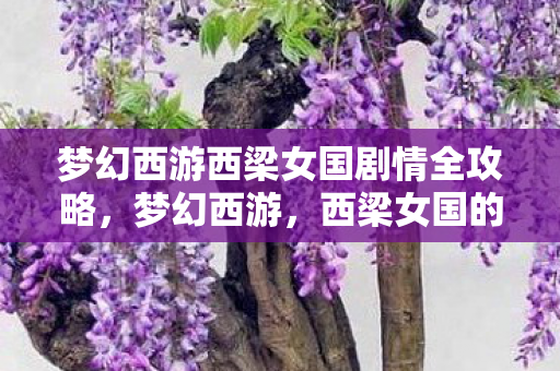 梦幻西游西梁女国剧情全攻略,梦幻西游,西梁女国的神秘之旅 梦幻西游西梁女国剧情全攻略,梦幻西游,西梁女国的神秘之旅