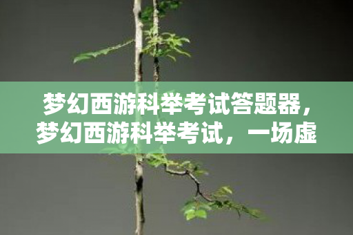 梦幻西游科举考试答题器,梦幻西游科举考试,一场虚拟世界的智慧角逐 梦幻西游科举考试答题器,梦幻西游科举考试,一场虚拟世界的智慧角逐