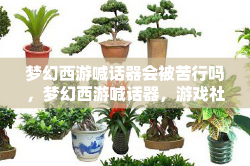 梦幻西游喊话器会被苦行吗,梦幻西游喊话器,游戏社交的新体验 梦幻西游喊话器会被苦行吗,梦幻西游喊话器,游戏社交的新体验