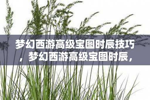 梦幻西游高级宝图时辰技巧,梦幻西游高级宝图时辰,探寻最佳寻宝时刻 梦幻西游高级宝图时辰技巧,梦幻西游高级宝图时辰,探寻最佳寻宝时刻