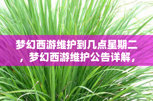 梦幻西游维护到几点星期二,梦幻西游维护公告详解,何时维护结束? 梦幻西游维护到几点星期二,梦幻西游维护公告详解,何时维护结束?