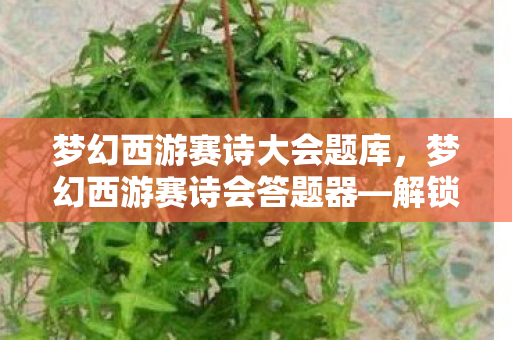 梦幻西游赛诗大会题库,梦幻西游赛诗会答题器—解锁诗词大会的秘诀 梦幻西游赛诗大会题库,梦幻西游赛诗会答题器—解锁诗词大会的秘诀