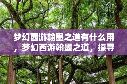 梦幻西游翰墨之道有什么用,梦幻西游翰墨之道,探寻游戏中的文学之美 梦幻西游翰墨之道有什么用,梦幻西游翰墨之道,探寻游戏中的文学之美