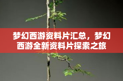 梦幻西游资料片汇总,梦幻西游全新资料片探索之旅 梦幻西游资料片汇总,梦幻西游全新资料片探索之旅