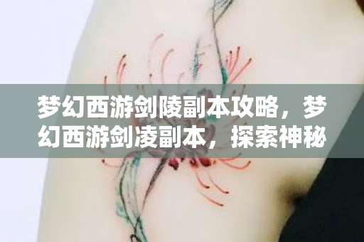 梦幻西游剑陵副本攻略,梦幻西游剑凌副本,探索神秘世界的冒险之旅 梦幻西游剑陵副本攻略,梦幻西游剑凌副本,探索神秘世界的冒险之旅