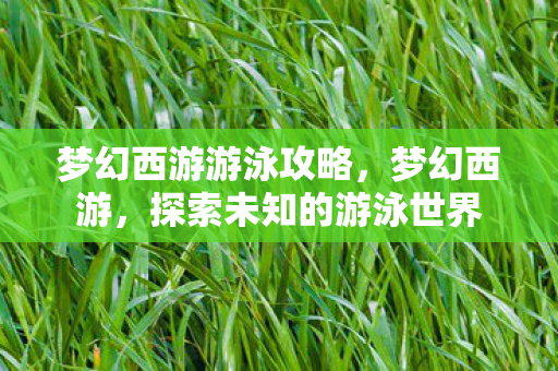 梦幻西游游泳攻略,梦幻西游,探索未知的游泳世界 梦幻西游游泳攻略,梦幻西游,探索未知的游泳世界