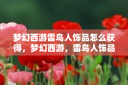 梦幻西游雷鸟人饰品怎么获得,梦幻西游,雷鸟人饰品的奇幻魅力 梦幻西游雷鸟人饰品怎么获得,梦幻西游,雷鸟人饰品的奇幻魅力