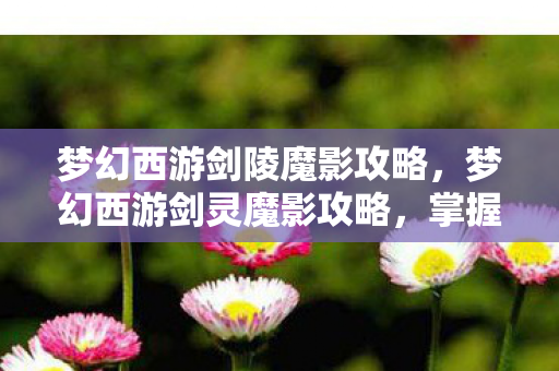 梦幻西游剑陵魔影攻略,梦幻西游剑灵魔影攻略,掌握核心技巧,轻松通关 梦幻西游剑陵魔影攻略,梦幻西游剑灵魔影攻略,掌握核心技巧,轻松通关