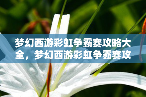 梦幻西游彩虹争霸赛攻略大全,梦幻西游彩虹争霸赛攻略,成为顶尖玩家的秘诀 梦幻西游彩虹争霸赛攻略大全,梦幻西游彩虹争霸赛攻略,成为顶尖玩家的秘诀