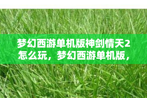 梦幻西游单机版神剑情天2怎么玩,梦幻西游单机版,神剑情天2 梦幻西游单机版神剑情天2怎么玩,梦幻西游单机版,神剑情天2