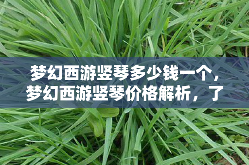 梦幻西游竖琴多少钱一个，梦幻西游竖琴价格解析，了解梦幻货币与真实价格的交汇点