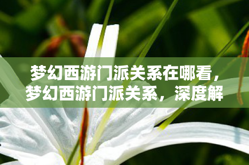 梦幻西游门派关系在哪看,梦幻西游门派关系,深度解析各门派间的恩怨情仇 梦幻西游门派关系在哪看,梦幻西游门派关系,深度解析各门派间的恩怨情仇