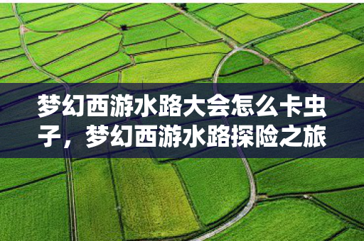梦幻西游水路大会怎么卡虫子,梦幻西游水路探险之旅 梦幻西游水路大会怎么卡虫子,梦幻西游水路探险之旅