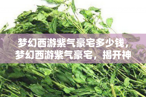 梦幻西游紫气豪宅多少钱，梦幻西游紫气豪宅，揭开神秘面纱，探寻游戏中最奢华的居所