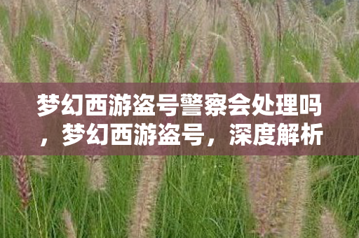 梦幻西游盗号警察会处理吗，梦幻西游盗号，深度解析与应对策略