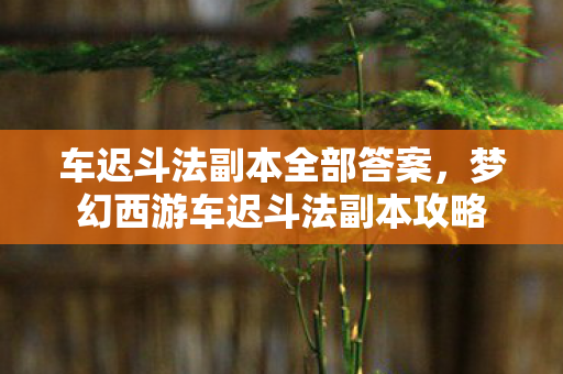车迟斗法副本全部答案,梦幻西游车迟斗法副本攻略 车迟斗法副本全部答案,梦幻西游车迟斗法副本攻略