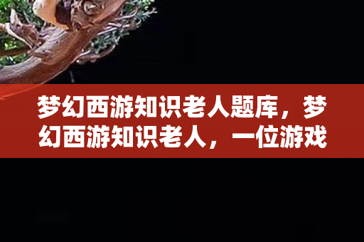 梦幻西游知识老人题库,梦幻西游知识老人,一位游戏世界的智慧导师 梦幻西游知识老人题库,梦幻西游知识老人,一位游戏世界的智慧导师