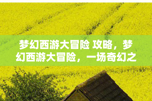 梦幻西游大冒险 攻略,梦幻西游大冒险,一场奇幻之旅 梦幻西游大冒险 攻略,梦幻西游大冒险,一场奇幻之旅
