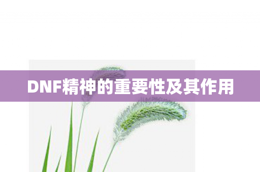 DNF精神的重要性及其作用