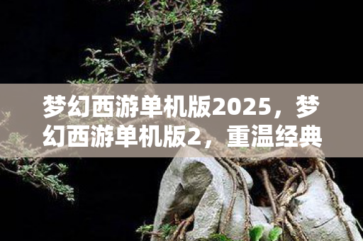 梦幻西游单机版2025,梦幻西游单机版2,重温经典,探索未知之旅 梦幻西游单机版2025,梦幻西游单机版2,重温经典,探索未知之旅