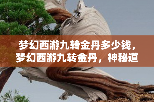 梦幻西游九转金丹多少钱,梦幻西游九转金丹,神秘道具背后的故事与攻略 梦幻西游九转金丹多少钱,梦幻西游九转金丹,神秘道具背后的故事与攻略