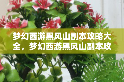 梦幻西游黑风山副本攻略大全,梦幻西游黑风山副本攻略 梦幻西游黑风山副本攻略大全,梦幻西游黑风山副本攻略