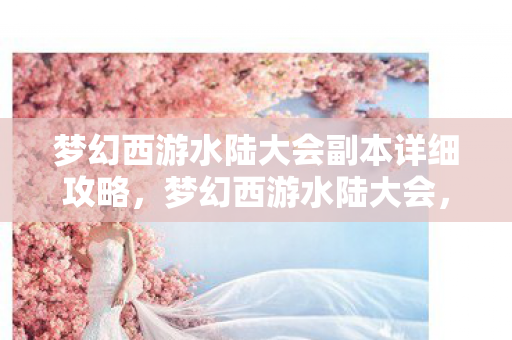 梦幻西游水陆大会副本详细攻略，梦幻西游水陆大会，一场不容错过的精彩盛宴