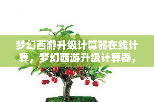 梦幻西游升级计算器在线计算，梦幻西游升级计算器，助力你的角色飞升新境界