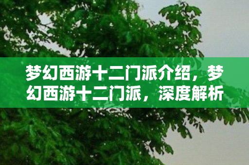 梦幻西游十二门派介绍，梦幻西游十二门派，深度解析与攻略