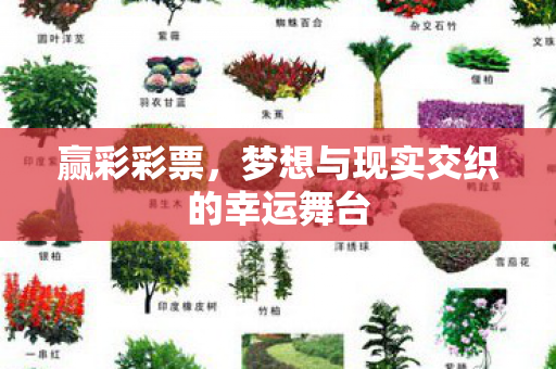 赢彩彩票,梦想与现实交织的幸运舞台 赢彩彩票,梦想与现实交织的幸运舞台
