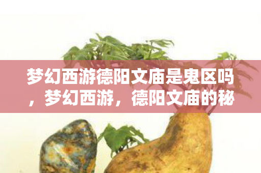 梦幻西游德阳文庙是鬼区吗，梦幻西游，德阳文庙的秘境探险