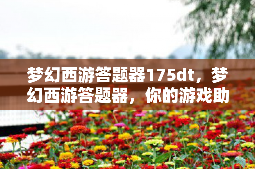 梦幻西游答题器175dt，梦幻西游答题器，你的游戏助手
