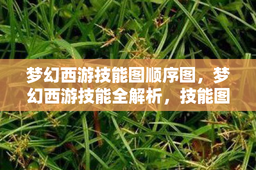 梦幻西游技能图顺序图,梦幻西游技能全解析,技能图详解与攻略指南 梦幻西游技能图顺序图,梦幻西游技能全解析,技能图详解与攻略指南