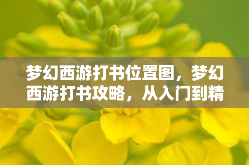 梦幻西游打书位置图,梦幻西游打书攻略,从入门到精通 梦幻西游打书位置图,梦幻西游打书攻略,从入门到精通