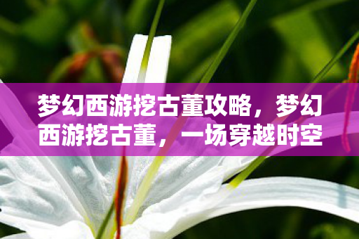 梦幻西游挖古董攻略,梦幻西游挖古董,一场穿越时空的寻宝之旅 梦幻西游挖古董攻略,梦幻西游挖古董,一场穿越时空的寻宝之旅